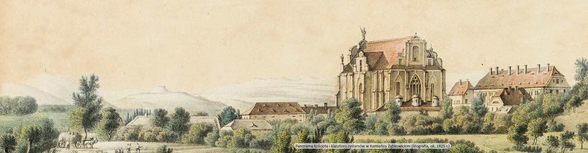 Obraz w tle wyszukiwarki